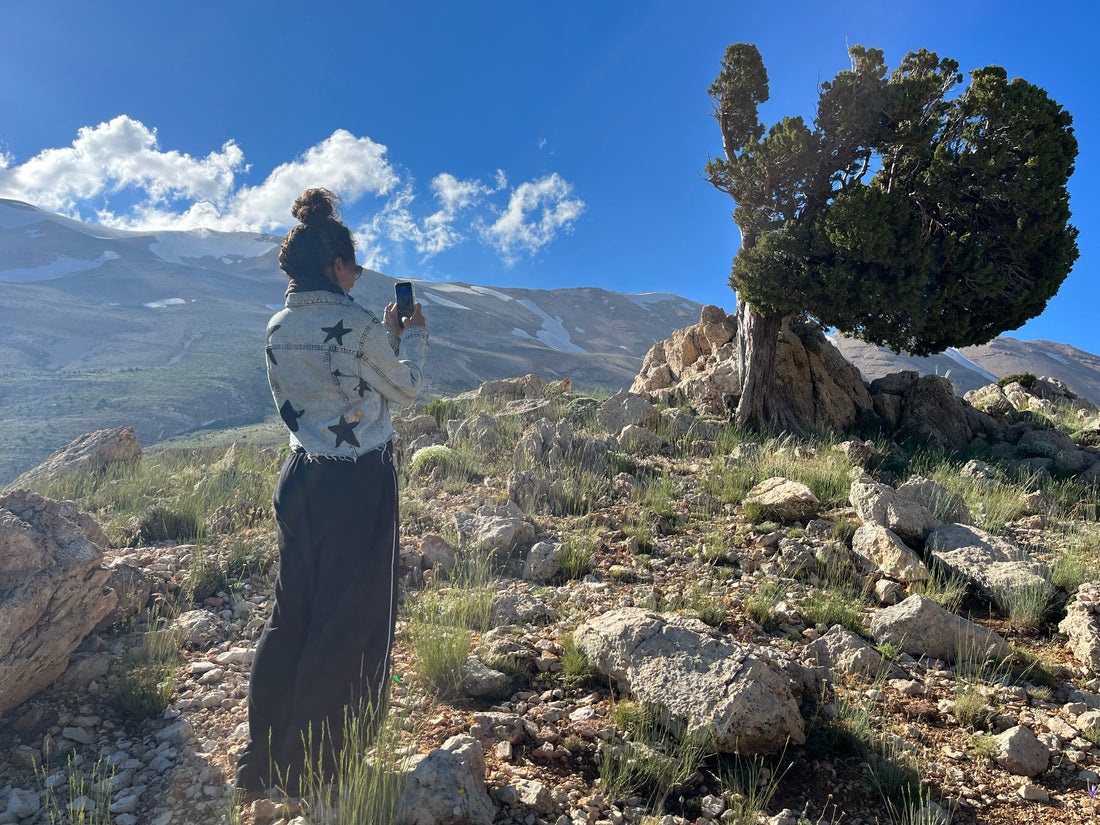 Nay standing by a juniper tree in the Lebanese mountains, where she collects stones for 7ajra