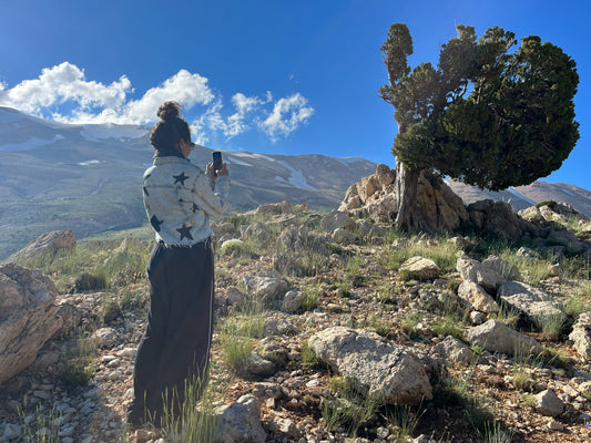 Nay standing by a juniper tree in the Lebanese mountains, where she collects stones for 7ajra