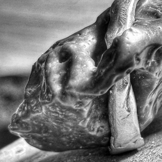 Close-up of Leviathan pendant showing silver wrap detail on raw black stone